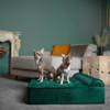 NOAH & PAW DOG BED 28X23X11 IN ORTHOPEDIC BEDS EGGSHELL FOAM INFUSED - GREEN