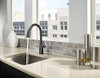 Pfister Raya Kitchen Faucet Pull Down Sprayer Soap Dispenser F5297RYB - Black New