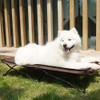 maxpama Folding Outdoor Raised Elevated Cooling Dog Cot Beds B07WTKWY6L -New New