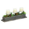 Koehler Reclaimed Wood Succulent Candle Display B01MQ2AY0C New