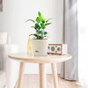 SuherHomey Plant Pots 8 Inch Flower Pot Indoor/Outdoor Large Pots 5 Pack White New
