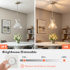 Glass Pendant Lights Kitchen Island Nickel 9.84'' Clear Glass Shade New