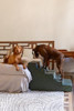 NOAH & PAW DOG STAIRS FOR LARGE DOGS, UP TO 150LB WIDE DOG RAMP, 5-STEP - GREEN