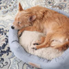 Town & Country Everyday CuddleTown Faux Linen Comfy Cozy Cuddler Pet Bed-Blue New