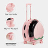 VETRESKA Pet Carrier with 1 Stickers and 2 Mats, Pink Pet