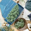 Clara Clark Christmas Tree Storage Bag - Extra Wide New