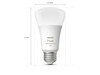 Philips Hue A19 LED Smart Light Bulb - White and Color Ambiance - 60W Indoor