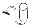 Beats Flex All-day Wireless Earbuds - BLACK New