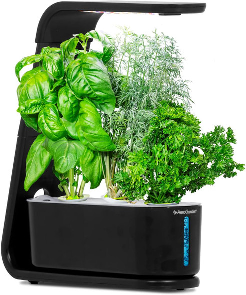 AeroGarden Sprout with Gourmet Herbs Seed Pod Kit Hydroponic Indoor Garden Black