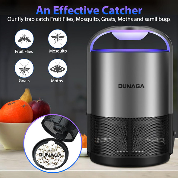 Dunaga Fly Traps Indoor - Gray