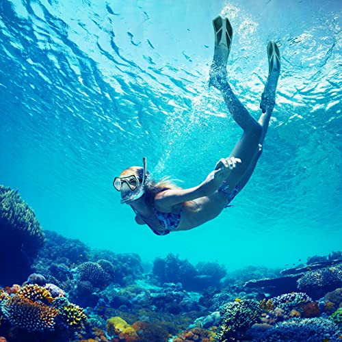 ZEEPORTE MASK FIN SNORKEL SET TRAVEL SIZE SNORKELING GEAR MEN ML/XL 9-13 GREY