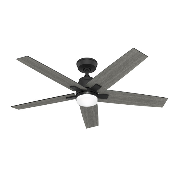 HUNTER FAN COMPANY HUNTER RAPIDAN LED 52"" CEILING FAN 5 BLADE - MATTE BLACK