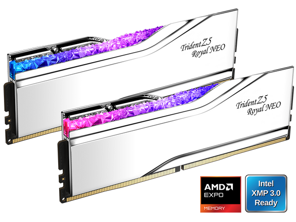 G.SKILL Trident Z5 Royal Series 64GB (2 x 32GB) 288-Pin PC RAM DDR5 6000 (PC5