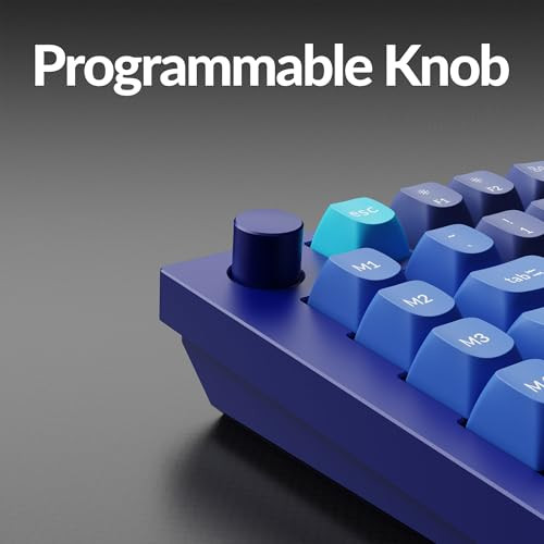 KEYCHRON Q10 WIRED CUSTOM MECHANICAL KEYBOARD KNOB 75% ALICE - NAVY BLUE