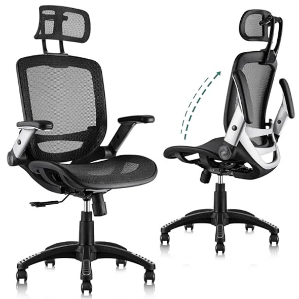 GABRYLLY ERGONOMIC OFFICE CHAIR, HIGH BACK HOME DESK CHAIR WITH HEADREST - BLACK