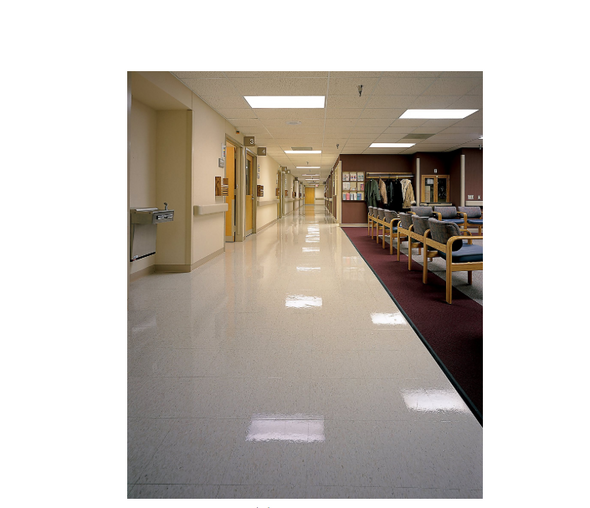 NIAGARA™ BURNISHING FLOOR PADS, 3300N , 20", WHITE, PACK OF 5 New