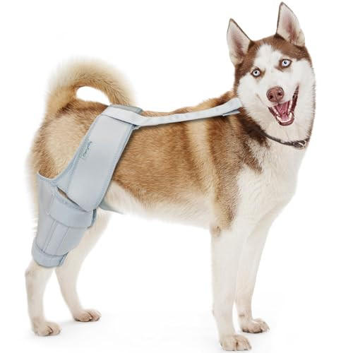 MERRYMILO DOG KNEE BRACE,ACL,CCL,CRUCIATE LIGAMENT, SIZE: S - SILVER