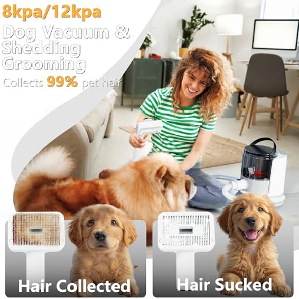FOTING G20 5-IN-1 DOG GROOMING VACUUM, DOG CLIPPERS & SHEDDING BRUSH- BLACK FOTING G20 5-IN-1 DOG GROOMING VACUUM, DOG CLIPPERS & SHEDDING BRUSH- BLACK