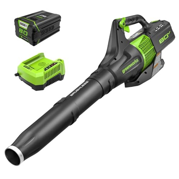 GREENWORKS 80V Brushless Axial Leaf Blower 2.5AH Battery Charger BL80L00 - Green