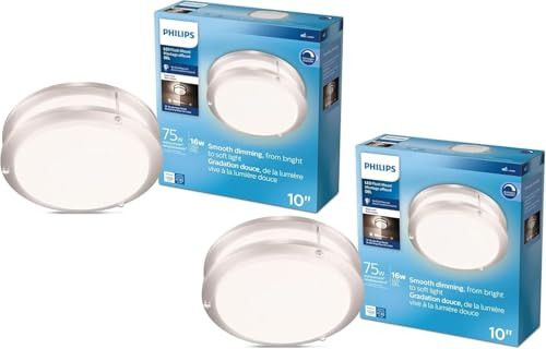 PHILLIPS DOUBLE RING 10 IN. FLUSH MOUNT (2-PACK) 574608 - BRIGHT WHITE