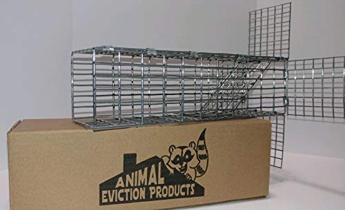 ANIMAL EVICTION PRODUCTS ONE WAY SQUIRREL DOOR EXCLUDER VALVE FOR SQUIRRELS