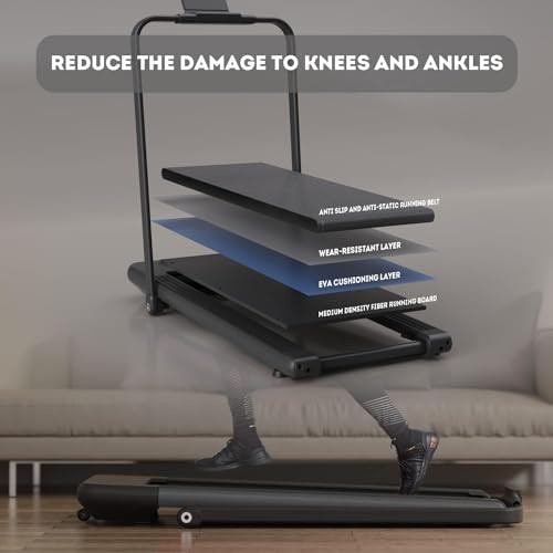 BIFANUO 2 IN 1 WALKING PAD UNDER DESK TREADMILL FOR HOME/OFFICE TM009BK - BLACK