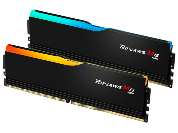 G.SKILL Ripjaws M5 RGB Series 64GB (2 x 32GB) 288-Pin PC RAM DDR5 6400 (PC5