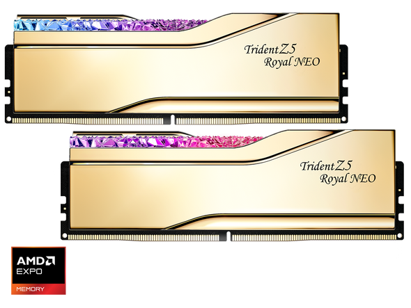 G.SKILL Trident Z5 Royal Series 32GB (2 x 16GB) 288-Pin PC RAM DDR5 6000 (PC5