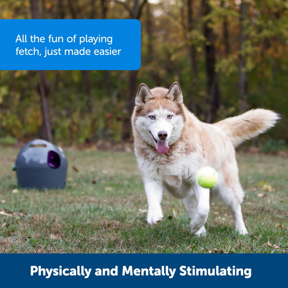 PETSAFE AUTOMATIC DOG TOY BALL LAUNCHER INTERACTIVE FOR DOGS - GRAY
