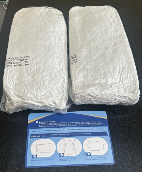 ZIBROGES GOOSE FEATHER PILLOW QUEEN SIZE PACK OF 2, WHITE - WHITE New