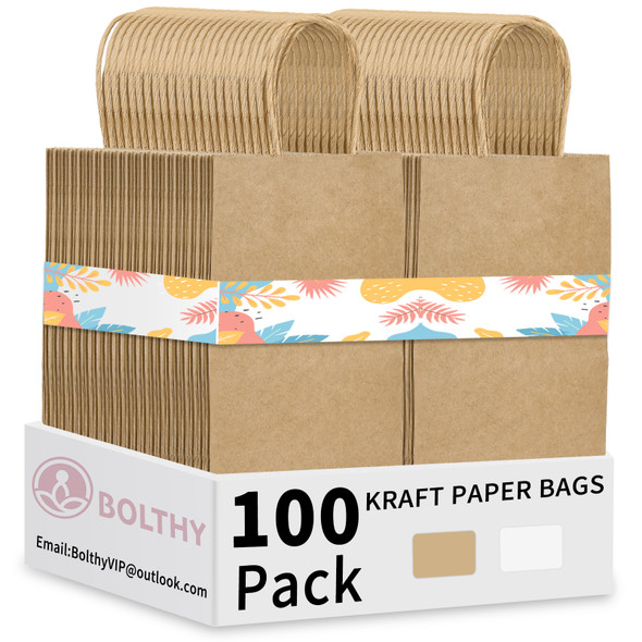 BOLTHY SMALL KRAFT PAPER BAGS 100PCS 5.91 X 3.15 X 8.27 (14X8X20CM) PAPER BAGS