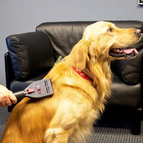 PENN-PLAX VACGROOM GROOMING AND SHEDDING VACUUM ATTACHMENT KIT DOGV1 - GRAY