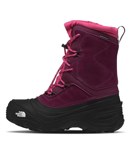 NF0A5LXFKK9 THE NORTH FACE BOYSENBERRY/BLACK SIZE 12