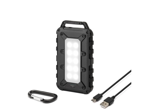 Lion Energy - Lion Cub Portable Power Bank for phone, earbuds, tablets -