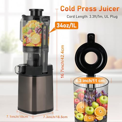 FAB&DELUXE Cold Press Juicer, 34oz Machines with 4.3" Chute, HGM-902 - Black