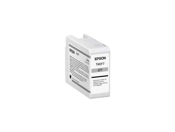 Epson UltraChrome PRO T46Y Original Ink Cartridge Gray T46Y700