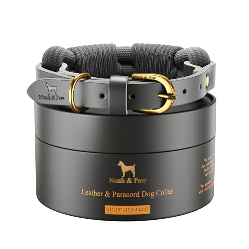 NOAH & PAW DOG COLLAR FOR MEDIUM DOGS, GENUINE LEATHER WITH PARACORD - GREY
