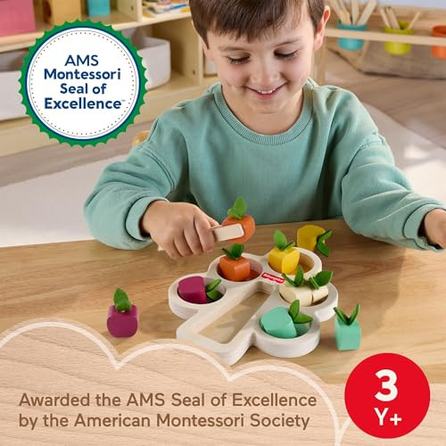 Fisher-Price Montessori Toy Sorting Tree American Montessori Society