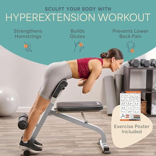 LIFEPRO SCULPTTRAINER ROMAN CHAIR – HYPEREXTENSION - LP-STMRC - SILVER