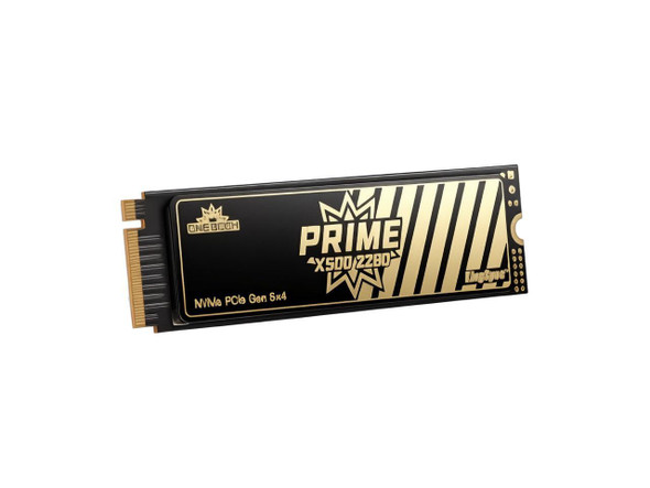 KingSpec OneBoom X500 1TB PCIe 5.0 NVMe M.2 SSD with DRAM Cache - High-Speed