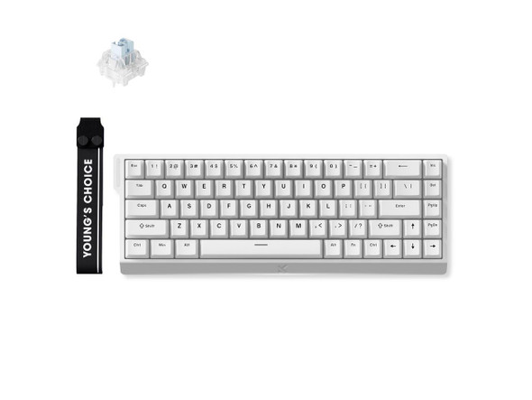 MCHOSE ACE 68 60% Mechanical Gaming Keyboard Wired Rapid Trigger Hall Effect