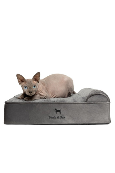NOAH & PAW Small Dog Bed, 20x15x6.5 Inch VELVET COLLECTION - GRAY