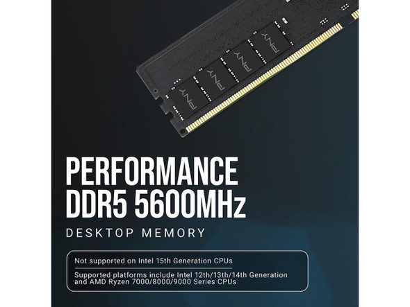 PNY Performance 32GB (2 x 16GB) DDR5 5600 (PC5 44800) Desktop Memory Model