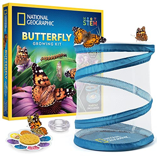 NATIONAL GEOGRAPHIC BUTTERFLY GROWING KIT BUTTERFLY HABITAT KIT New