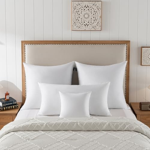 Basic HOME Hotel-Style 26x26 Goose Feather Down Euro Pillow Insert 2-Pack New