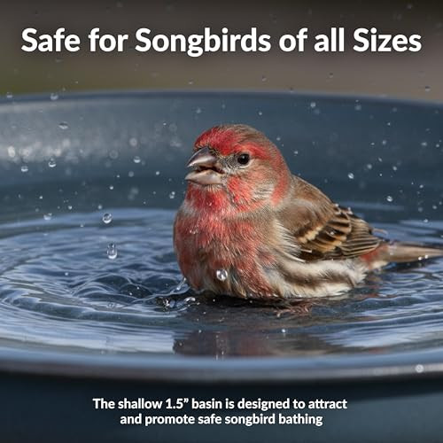 Sunnydaze Gleeful Garden 23" Iron Pedestal Bird Bath for Outside - Matte Blue