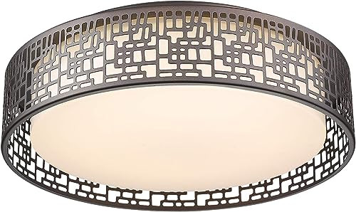 VICNIE Flush Mount Lighting Fixtures 14inch 20W 1400 lumens LED Ceiling Lights