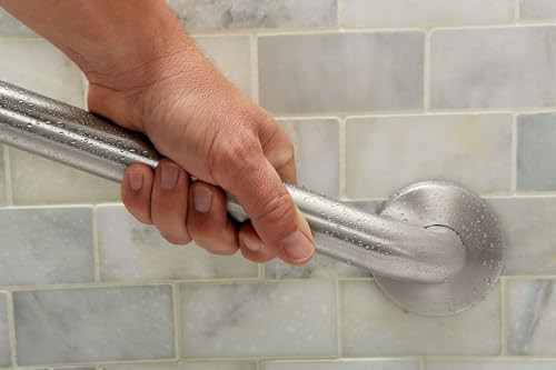 Moen Home Care Bathroom Safety 24" Stainless Steel Handicap Grab Bar; Chrome New