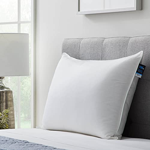 Dr. Oz Good Life Sleeping with Clouds down Pillow King OZGLKK3L90DD - White New