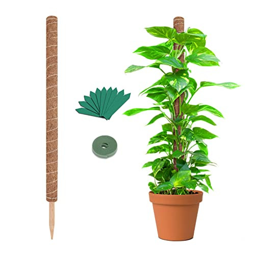 GROWNEER 36" Moss Pole 15 Pcs Plant Labels Coir Totem Pole Coco Stick - Black New